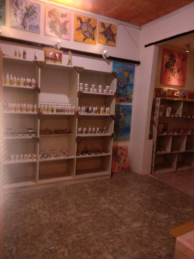 Macoa Village Quần đảo Gili Ngoại thất bức ảnh